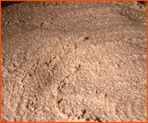 滅菌処理と腐敗対策まとめ